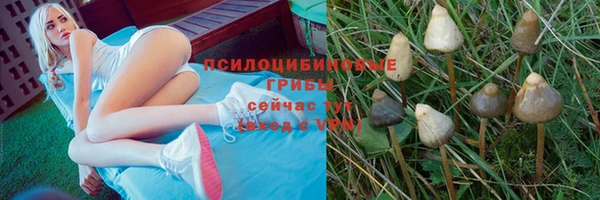 молекула духа Алексин