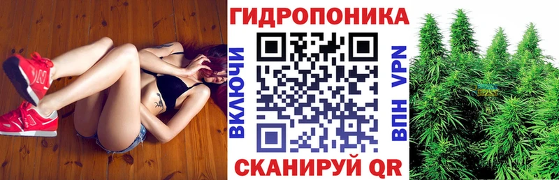 Бошки Шишки гибрид  наркота  Боровичи 
